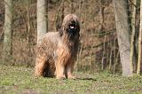 BRIARD 063